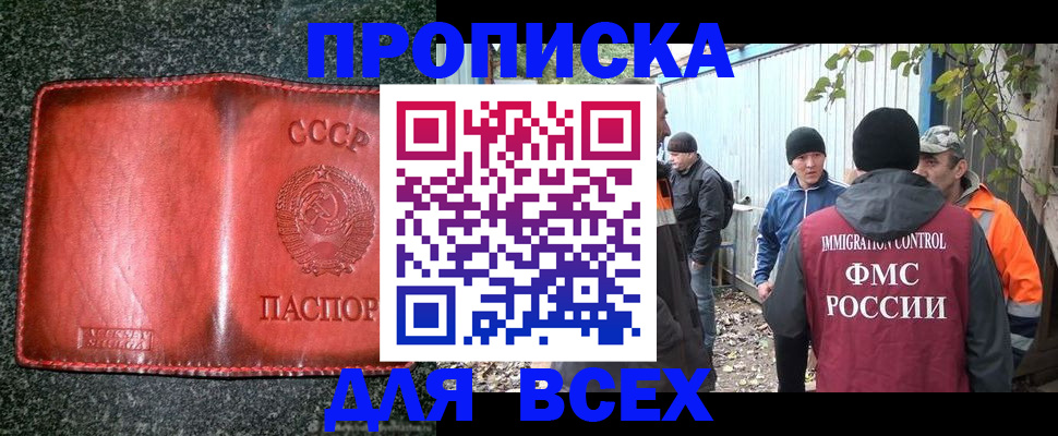 временная регистрация поиск в Норильске